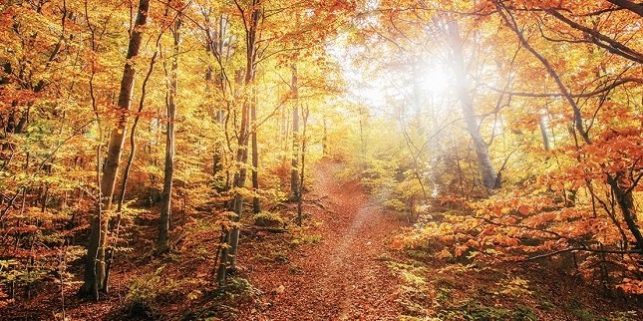 cover1.crop-center.756×322