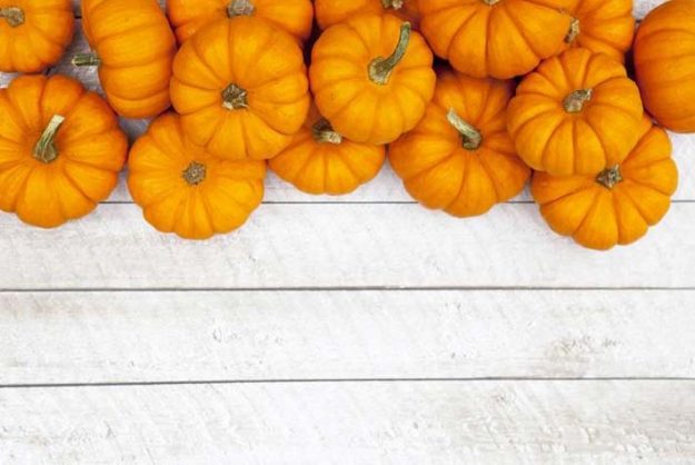 chiusura uffici festività